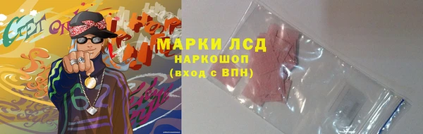 ГАЛЛЮЦИНОГЕННЫЕ ГРИБЫ Алексин
