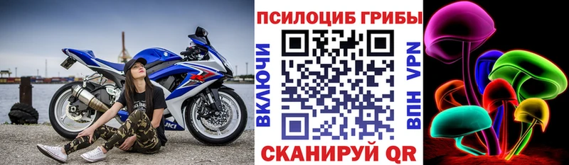 что такое Дыгулыбгей Галлюциногенные грибы мицелий