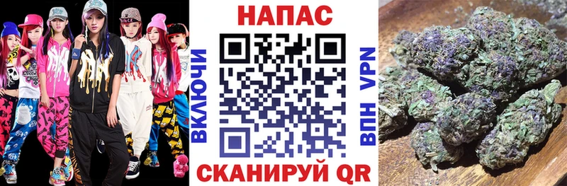 купить наркотик  Дыгулыбгей  Каннабис сатива 